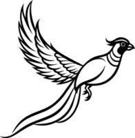 Flying Black pheasant with artistic, flowing line work vector