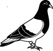 A perched pigeon silhouette with detailing vector