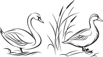 Tow Minimalist duck silhouette with smooth, elegant lines in the river vector