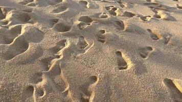 leaf on the beach, Close-up of footprints on a sandy beach, illuminated by warm sunlight. The textured surface of the sand creates depth, evoking a sense of travel, solitude, coastal exploration. video