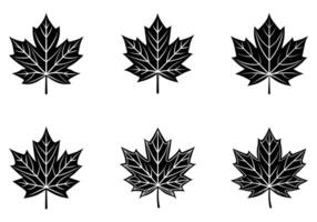 Elegant Black and White Maple Leaf Silhouettes vector