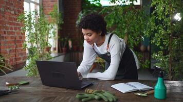 African woman florist gardener working in botanical store using laptop order plants communicating on Internet with customer. Female small business owner working at flower shop. Running of own business video