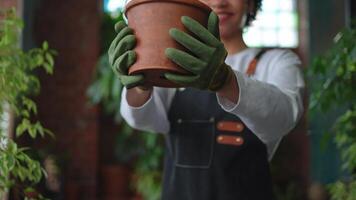 Gardening and agriculture. Florist farm worker hands holding plant in pot in botanical store. Small business owner gardener planting flowers working at flower shop surrounded by plants. Small business video