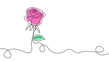 Hand Drawn One Line Animation of a Rose in Bloom, Minimalist Line Art With Color, Continuous Outline Drawing, Symbolizing Beauty, Love, and Elegance in a Simple Artistic Form. video