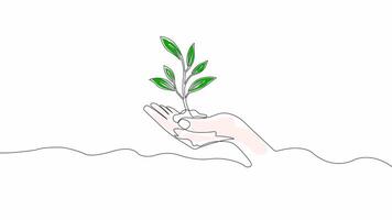 Hand-Drawn One-Line Animation of a Plant Growing on an Open Hand, Minimalist Line Art, Continuous Outline Drawing With Color, Concept of Nature, Growth, and Environmental Care video