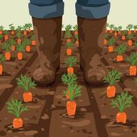 Walking Through Carrot Field with Boots Illustration Agricultural Harvest vector