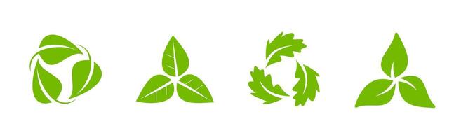 Green Leaf Set vector