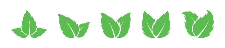 Green Leaf Icon Collection in Various Designs Set vector