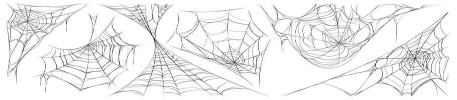 Detailed Spider Web Illustrations in Black and White Set vector