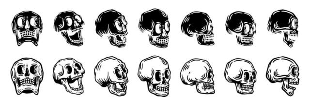 Hand-Drawn Skull Illustrations Set vector