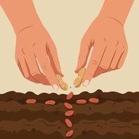 Hands Planting Seeds in Soil for Growth and Agriculture Concept vector