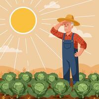 Farmer Looking Over Cabbage Field in Sunlight Illustration vector