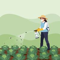 Spraying Cabbage Plants in Field with Sprayer While Wearing Mask vector