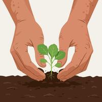 Hands Planting Young Seedling Into Soil for Growth and Nurturing vector