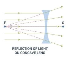 Light Reflection as it interacts with a Concave Lens in a visual context vector