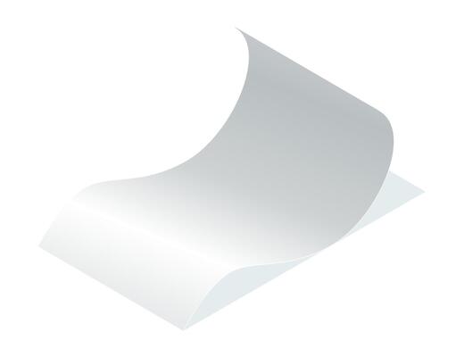 Payment check and receipts with shadow. Curved financial paper, purchase invoice. Buying, bill or calculate pay. Receipt the seller forms