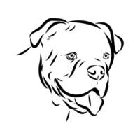 Alapakh bulldog head handmade sketch vector