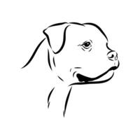 Alapakh bulldog head sketch vector