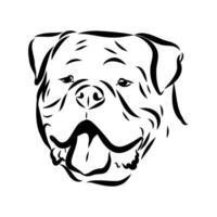 The head of an American bulldog is hand-drawn vector