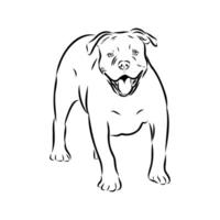 security dog American Alapakh bulldog sketch vector
