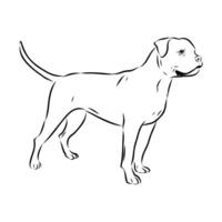 Alapakh bulldog dog handmade drawing vector