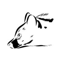 head of a predatory civet black and white sketch vector