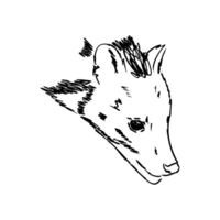 The head of a civet predator is hand-drawn vector
