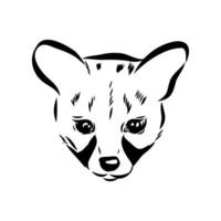 head of a predatory civet black and white drawing vector