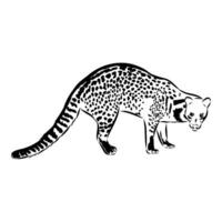 Predatory feline civet hand-drawn vector