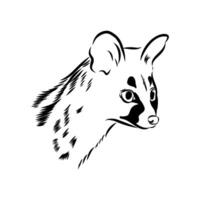 sketch of the head of a tropical civet cat vector