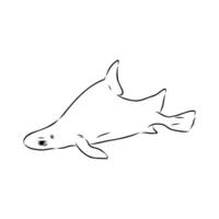 triangular shark centrina vulgar vector