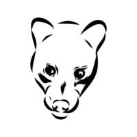 The head of a predatory civet vector