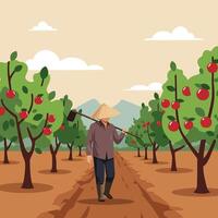 Farmer Walking Through Orchard with Apples on Trees Under Sky vector
