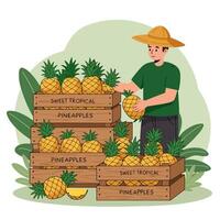Man Holding Pineapple Near Crates Filled with Tropical Fruits for Sale vector