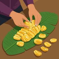 Preparing Jackfruit on Banana Leaf Food Preparation Process Illustration vector