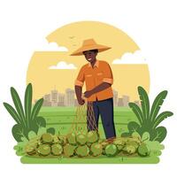 Farmer Harvesting Green Fruits in Field with Cityscape Backdrop vector