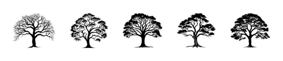 Silhouette of Trees in Different Stages Set vector
