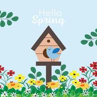 Hello spring and bird house vector
