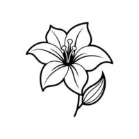 Balloon Flower Illustration on White Background Elegant Botanical Design vector