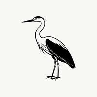 Heron silhouette on white background vector