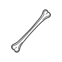 Bone Fracture on White Background Medical Illustration of Broken Bone vector