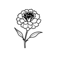 Carnation Flower Illustration on White Background Elegant Botanical Design vector