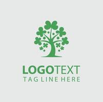 Evergreen Clover Shamrock tree vector