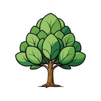 Artistic Outline of Evergreen Magnolia Tree vector
