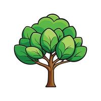 Unique Outline of Evergreen Magnolia Tree vector