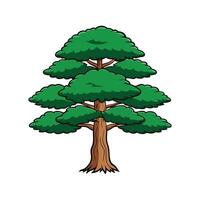 Bold Outline of Japanese Cedar Tree vector