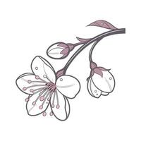 Exquisite Dewflower on White Background vector