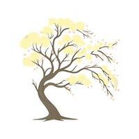 Charming Mimosa Flower on White vector