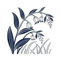 Charming Polygonatum Flower on White vector