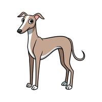 Beautiful Whippet Dog in Nature vector